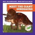 Cover: Meet the Giant Dinosaurs - Grasshopper Books