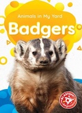 Cover: Badgers - Blastoff! Beginners