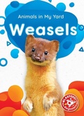 Cover: Weasels - Blastoff! Beginners