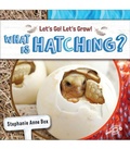 Cover: What Is Hatching? - Discovery Library Jr