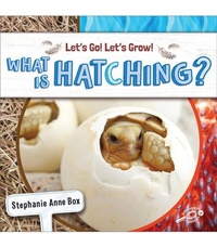Enlarge image Cover: What Is Hatching? - Discovery Library Jr