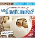 Cover: What Is Hatching? - Discovery Library Jr