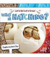 Enlarge image Cover: What Is Hatching? - Discovery Library Jr