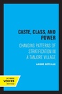 Cover: Caste, Class, and Power - University of California Press