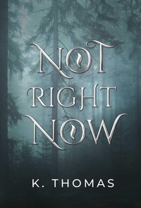 Enlarge image Cover: Not Right Now - BOOKBABY