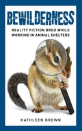 Cover: Bewilderness - Bay Company Books, Inc.