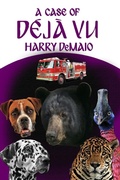 Cover: Case of Deja Vu - Andrews UK