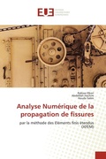 Cover: Analyse Numerique de la propagation de fissures - Editions Universitaires Europeennes