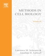 Cover: Apoptosis - Academic Press
