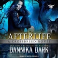 Cover: Afterlife Lib/E - Tantor Audio