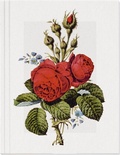 Cover: Geschichte der Rose Gro&szlig;es Notizheft Motiv Moosrose - Gerstenberg