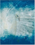 Cover: V&ouml;gel auf Instagram Gro&szlig;es Notizheft Motiv Wei&szlig;er Pfau - Gerstenberg
