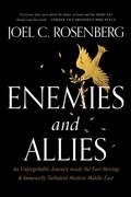 Cover: Enemies and Allies - Tyndale Momentum