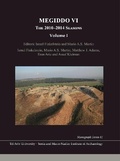 Cover: Megiddo VI - Eisenbrauns