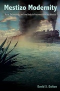 Cover: Mestizo Modernity - University of Florida Press