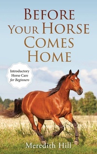 Abbildung von: Before Your Horse Comes Home - Natalia Stepanova