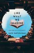 Cover: Like What We Imagine - David & Charles