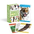 Cover: Our World in Pictures Animals of the World Flash Cards - DK Children