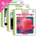 Cover: Science Questions Set 2 (Set) - Cody Koala