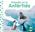 Cover: Animales En La Antartida (Animals in Antarctica) - Abdo Kids Junior