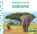 Cover: Animales En La Sabana (Animals in Savannas) - Abdo Kids Junior