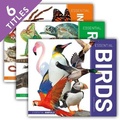 Cover: Essential Animals (Set) - Essential Library