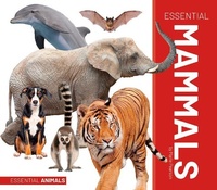 Enlarge image Cover: Essential Mammals - Essential Library