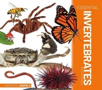 Enlarge image Cover: Essential Invertebrates - Essential Library