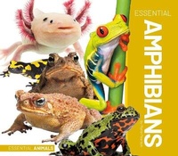 Enlarge image Cover: Essential Amphibians - Essential Library