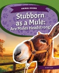 Cover: Stubborn as a Mule: Are Mules Headstrong? - Kids Core