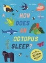Cover: How Does An Octopus Sleep? - Welbeck Children's Books