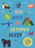 Cover: How Does An Octopus Sleep? - Welbeck Children's Books