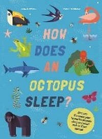 Enlarge image Cover: How Does An Octopus Sleep? - Welbeck Children's Books