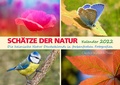 Cover: SCH&Auml;TZE DER NATUR - Kalender 2022 - Wild Photo Shop