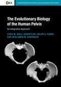 Cover: Evolutionary Biology of the Human Pelvis - Cambridge University Press