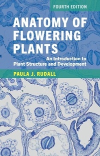 Bild: Anatomy of Flowering Plants - Cambridge University Press