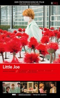 Cover: Little Joe - Hoanzl