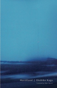 Abbildung von: Marshland - Dalkey Archive Press