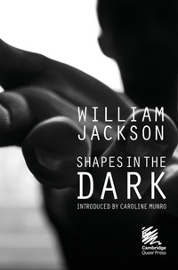 Enlarge image Cover: Shapes in the Dark - Martin Firrell Company Ltd