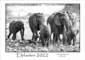 Cover: ELEFANTEN - Kalender 2022 - Wild Photo Shop