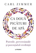Cover: Ca doua picaturi de apa - Litera Media Group