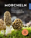 Bild: Morcheln - Kosmos