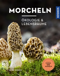 Abbildung von: Morcheln - Kosmos