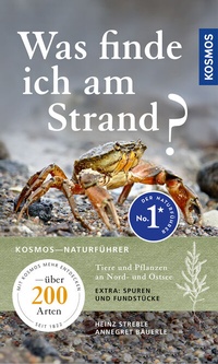 Abbildung von: Was finde ich am Strand? - Kosmos