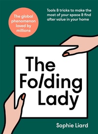 Abbildung von: The Folding Lady - Yellow Kite