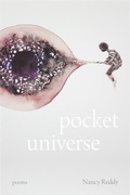 Cover: Pocket Universe - LSU Press