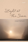 Cover: Light at the Seam - Zando - Hillman Grad Books