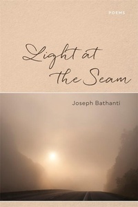 Enlarge image Cover: Light at the Seam - Zando - Hillman Grad Books