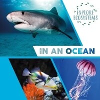 Enlarge image Cover: Explore Ecosystems: In an Ocean - Wayland