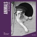 Cover: Animals in Wartime - Imperial War Museum